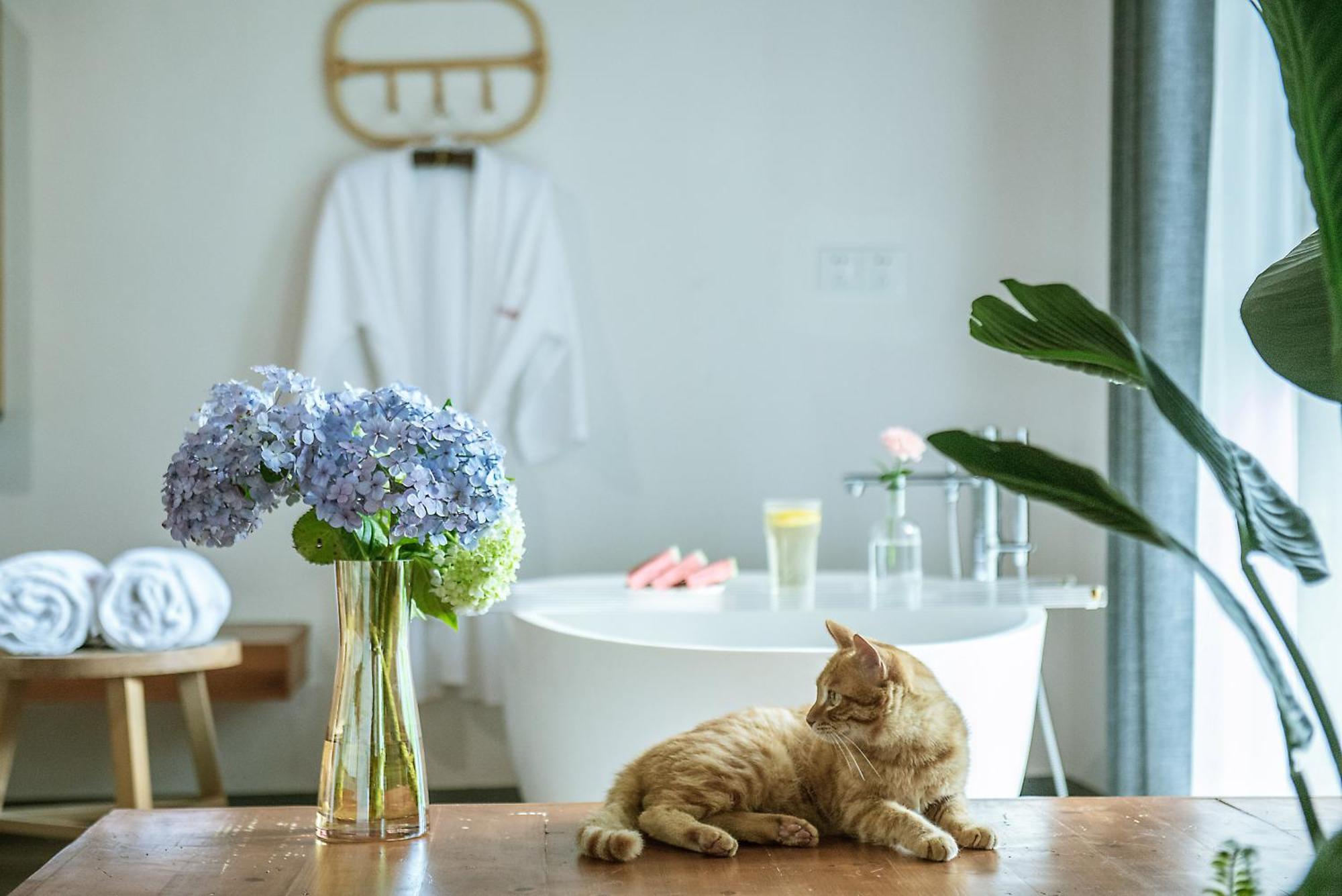 Wastone Apartment Liyangcun Ngoại thất bức ảnh