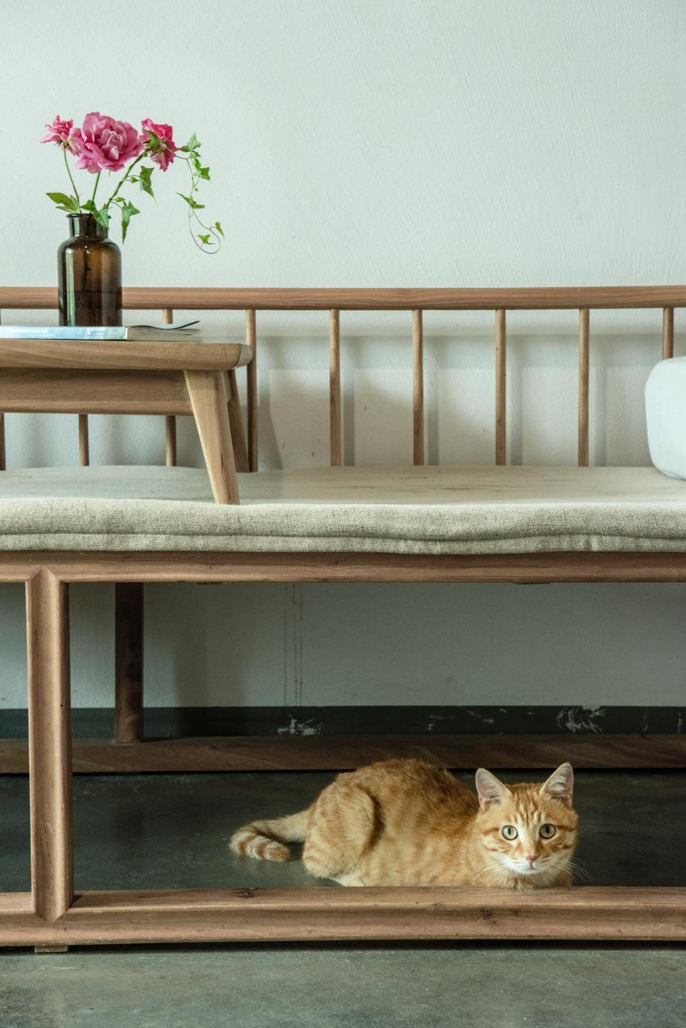 Wastone Apartment Liyangcun Ngoại thất bức ảnh